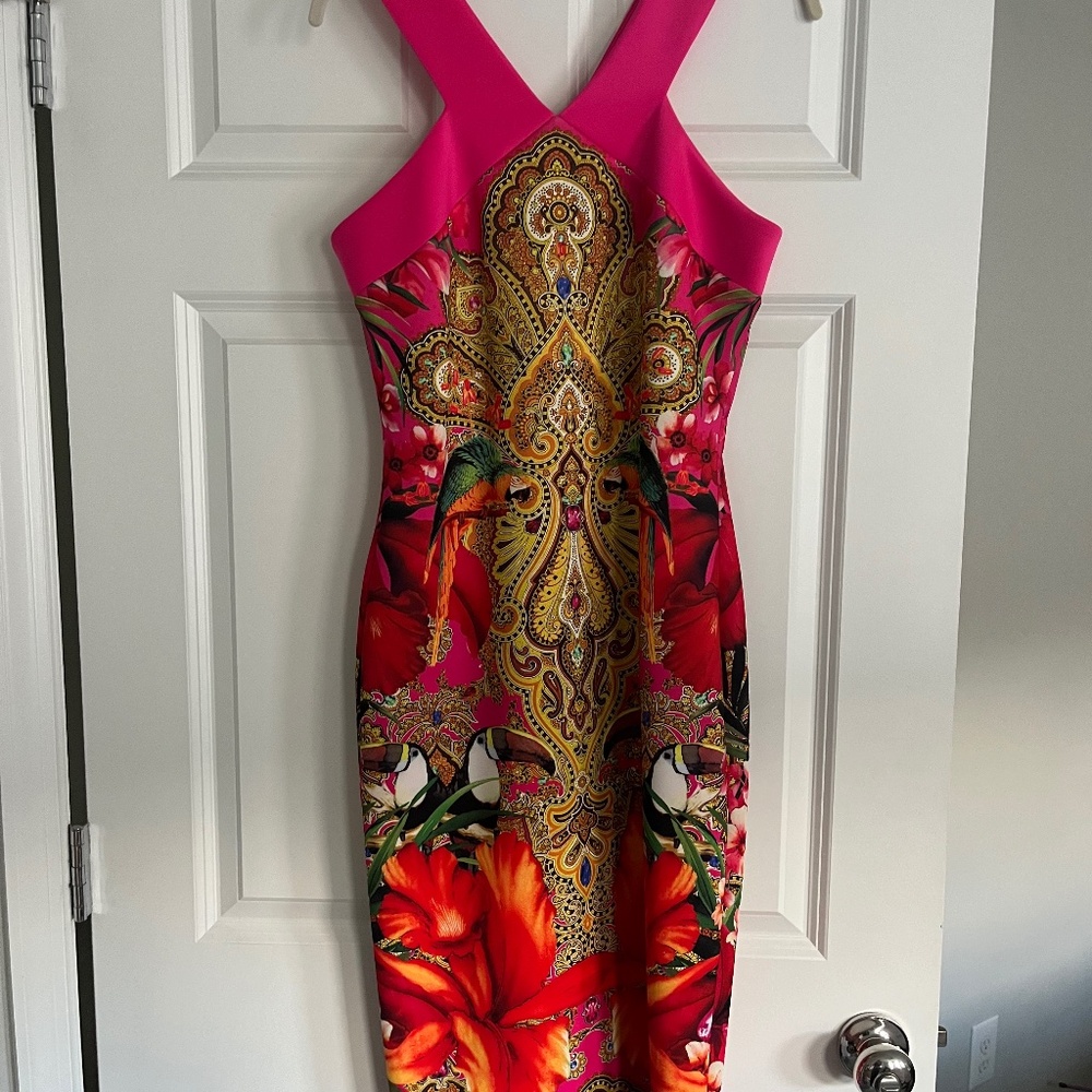 Ted Baker Dress